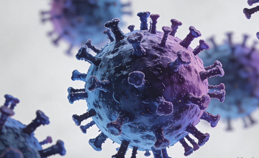 生物战-天花图谱